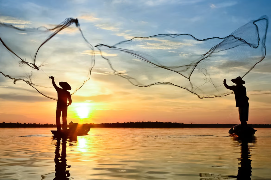 Pesca Artesanal Sample 01